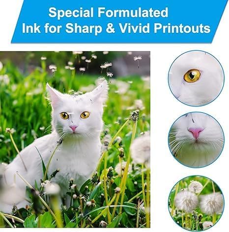 LCL Compatible Ink Refill Bottles Replacement for 522 T522 Ink Compatible with EcoTank ET-2800 ET-2803 ET-2810 ET-2811 ET-2820 ET-2840 ET-2710 ET-2720 ET-2400 ET-4700 ET-4800 ET-4810 ET-1110 (2C2M2Y)