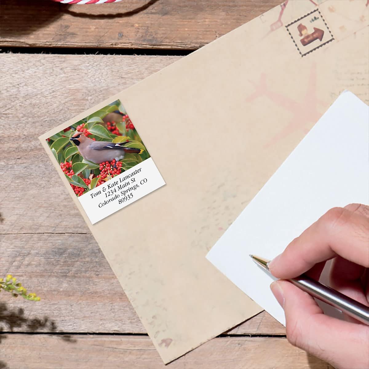 Colorful Images Birds of North America Return Address Mailing Labels, Personalize with Name & Addresses, Set of 144 Self Adhesive, Easy Peel Flat Label Sheets, 1 ½ x 1 ¾”, 24 Designs