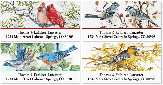 Colorful Images Garden Friends Birds Return Address Mailing Labels, Personalize with Name & Addresses, Set of 144 Self Adhesive, Easy Peel Flat Label Sheets, 1 ⅛ x 2 ¼”, 6 Designs
