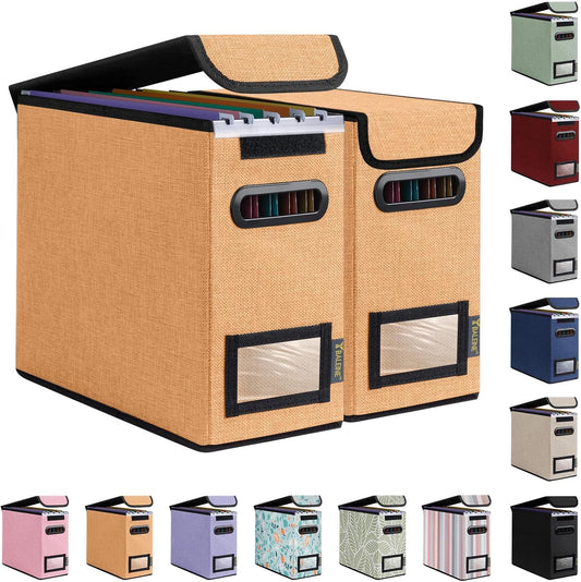 BALEINE File Organizer Box with Lid, Collapsible File Folder Organizer with Plastic Slide, Hanging File Folder Box for Office Document Storage (2 Pack, Orange, S)