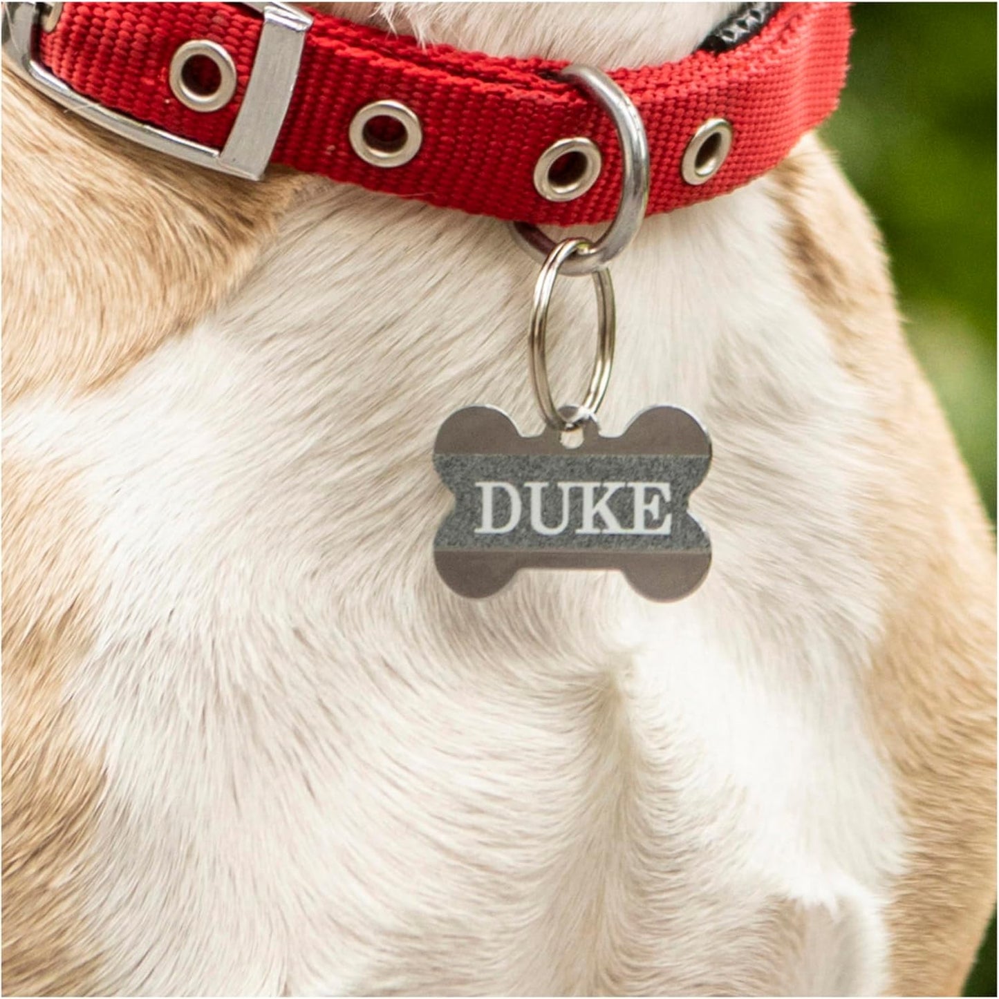 Brother Genuine P-touch TZe-PR935 White Print on Premium Glitter Silver Laminated Tape 12mm (0.47”) wide x 8m (26.2’) long, TZEPR935