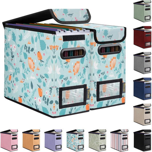 BALEINE File Organizer Box with Lid, Collapsible File Folder Organizer with Plastic Slide, Hanging File Folder Box for Office Document Storage (2 Pack, Spring Stroll, S)